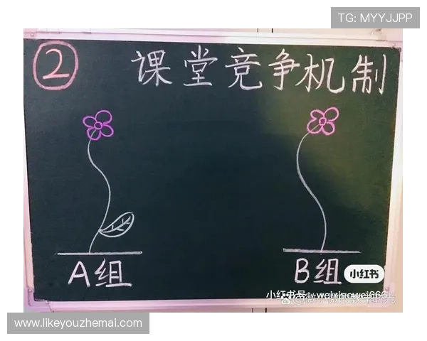 凯发手机版多样化的赛事活动与奖励机制详细介绍